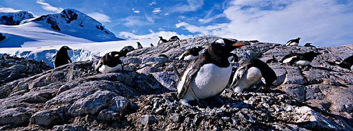 另类经营模拟游戏《战地医院》公开玩法预告