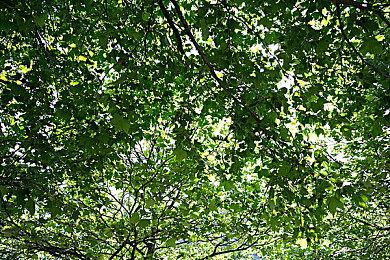 小岛秀夫：拔叔将不参与《死亡搁浅2》制作