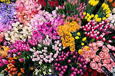  《波西亚时光》手游正式上线 首发特惠18元